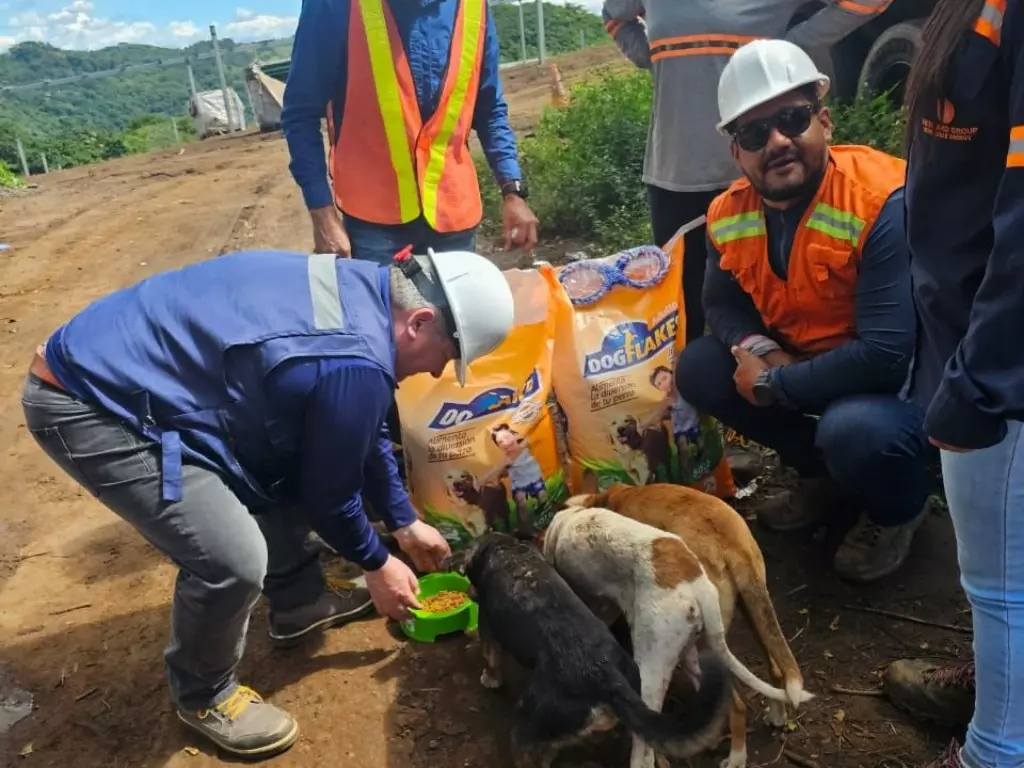 Responsabilidad Social Perros reciben alimentos de parte de voluntarios LiveSmart_1